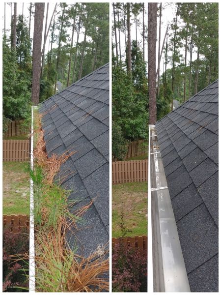 Gutter cleaning new