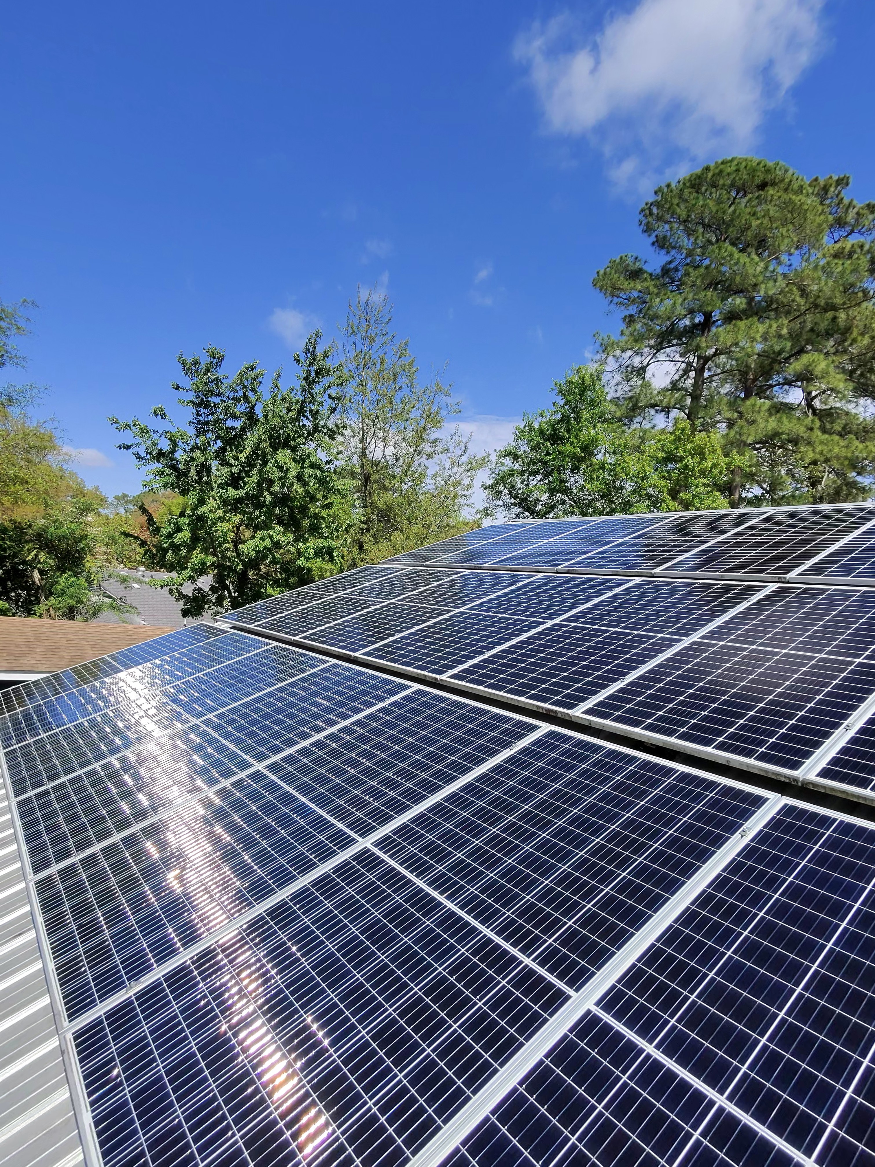 Solar panel cleaning Savannah,Ga